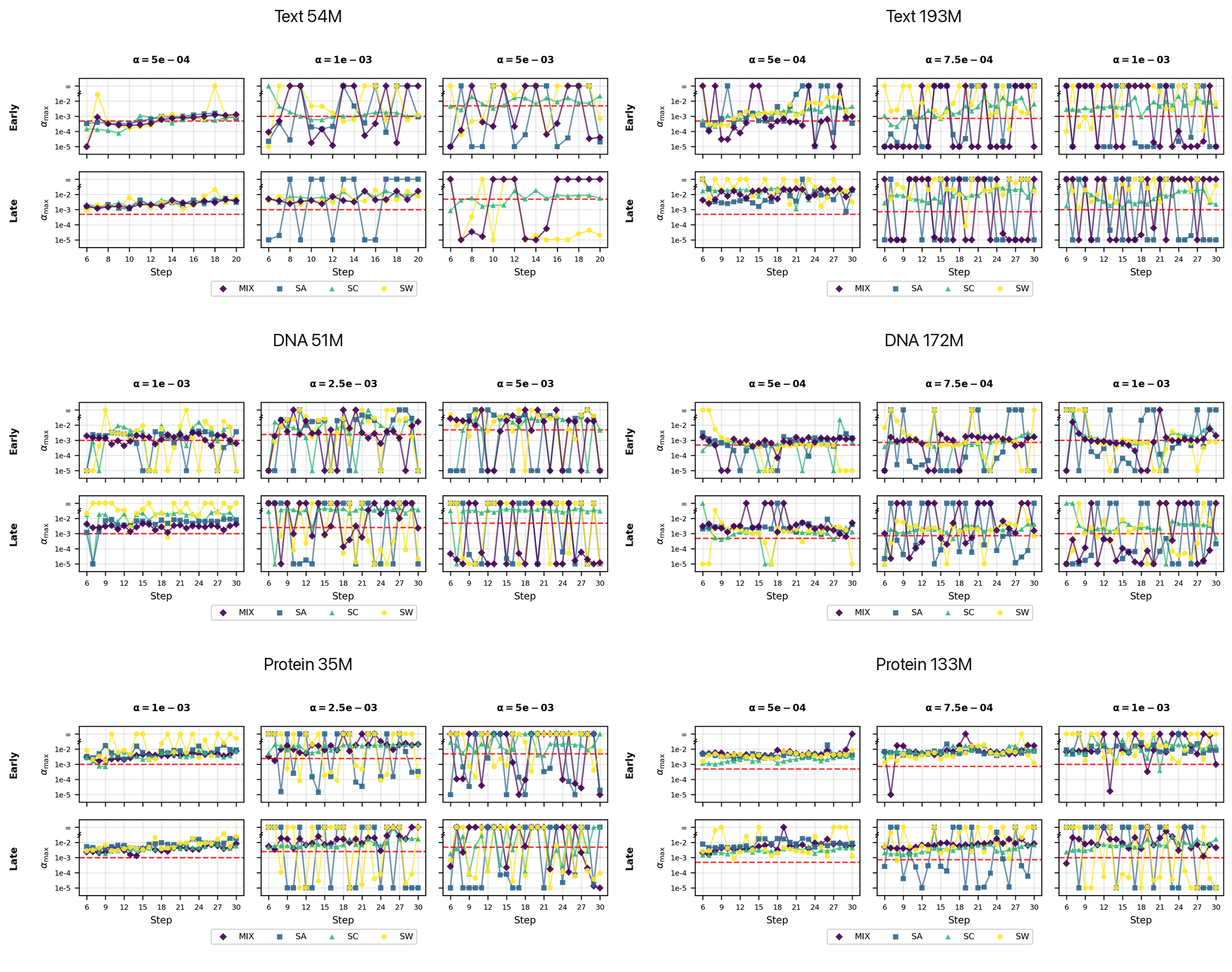 Early and terminal estimates of directional maximum stable learning rate across text, DNA, and protein models, compared with the training rate.