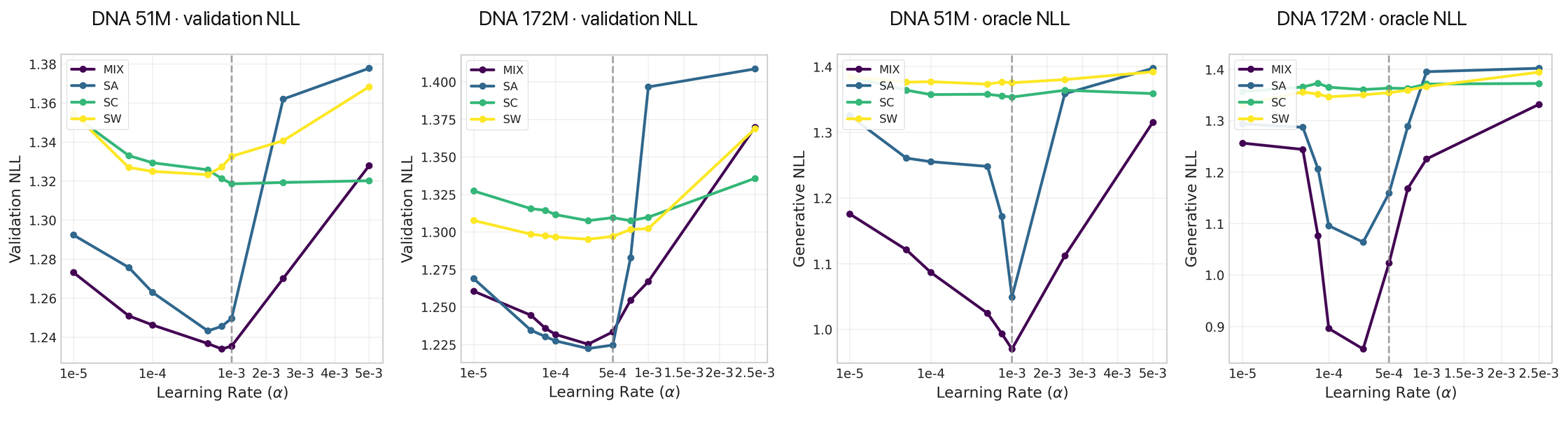 DNA learning-rate sweeps at 51M and 172M parameters, with held-out NLL and Evo2-1B NLL on generated sequences.