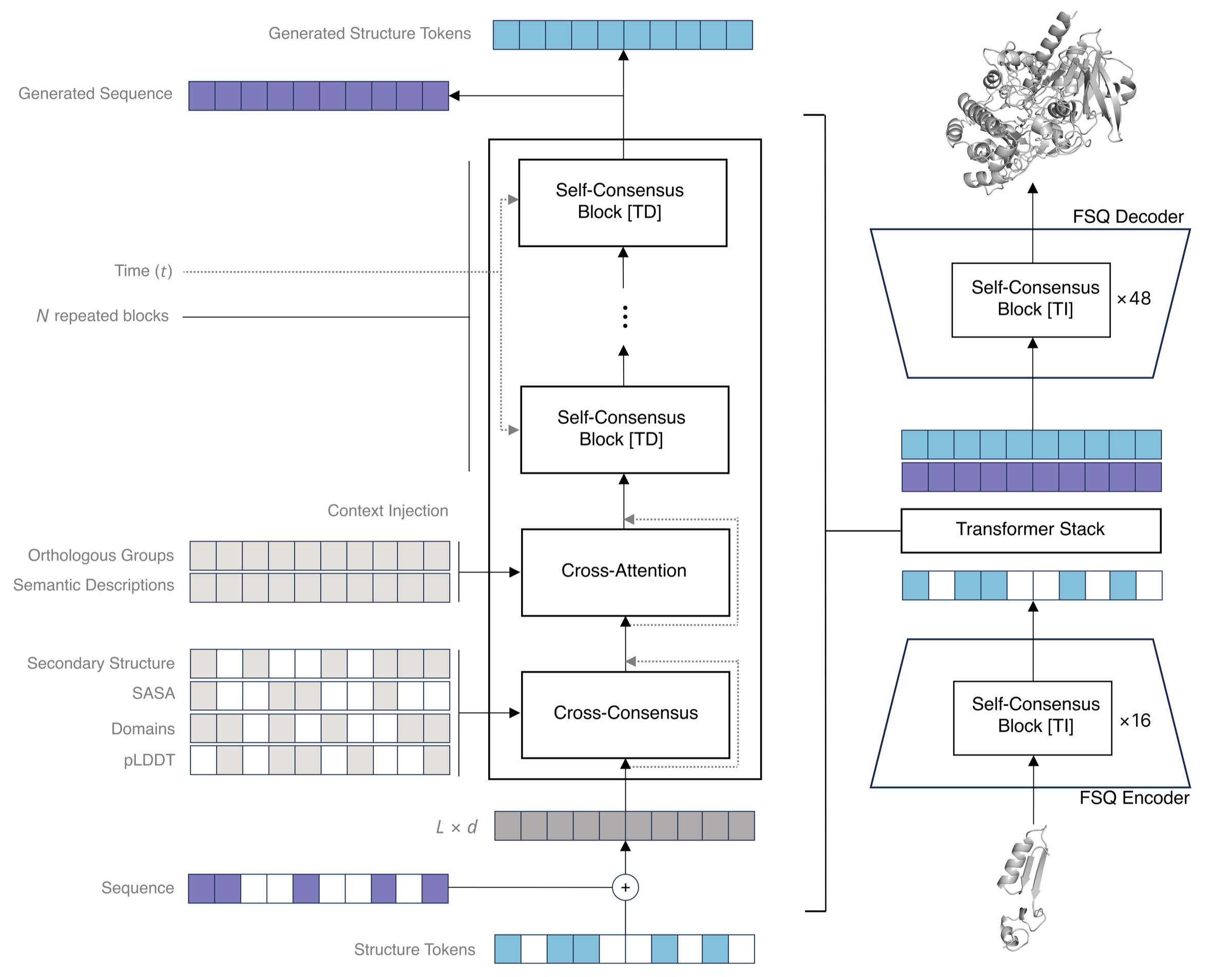 Odyssey's sequence and structure tracks enter a shared transformer, with aligned context supplied through cross-consensus and global context through cross-attention.