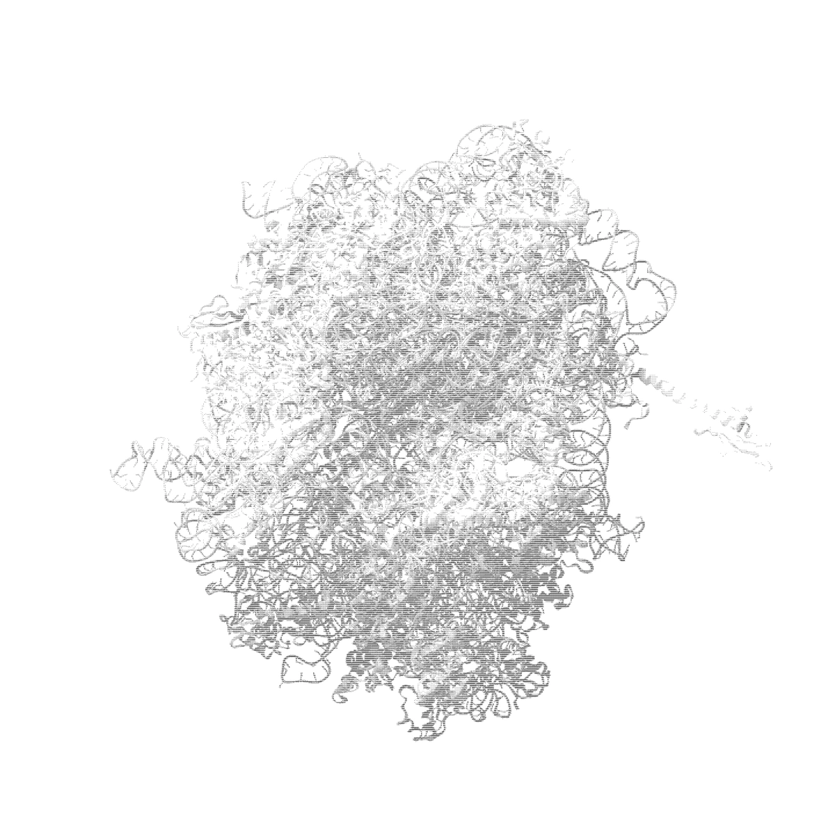 E. coli ribosome rendered in monochrome ASCII